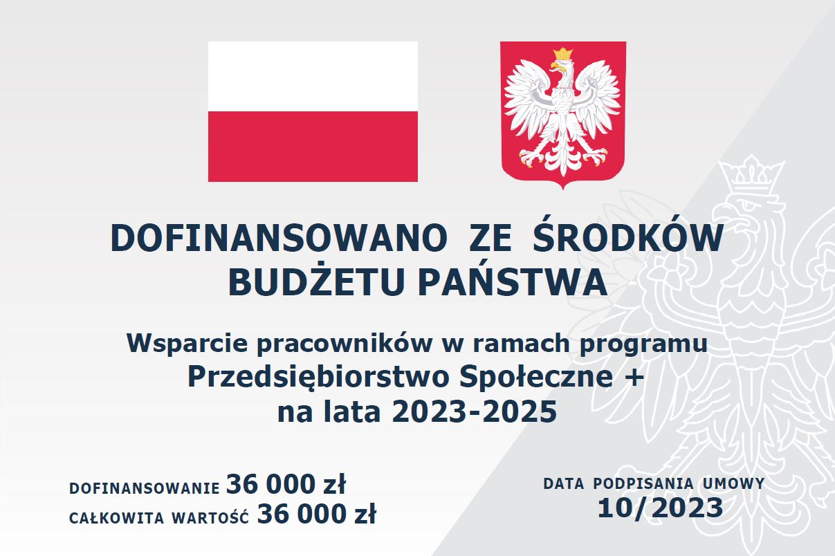 Przedsiębiorstwo Społeczne +